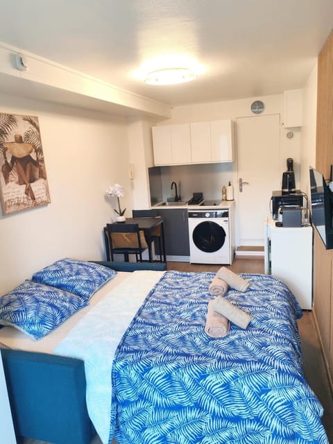 Bed, TV and multimedia, Kitchen or kitchenette, Living room, Dining area, towels, washing machine, dryer