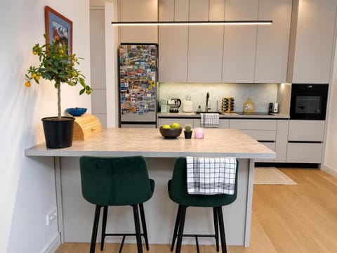 Kitchen or kitchenette, kitchen