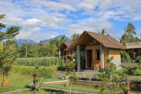 Property building, Spring, Day, Natural landscape, Garden, Garden view