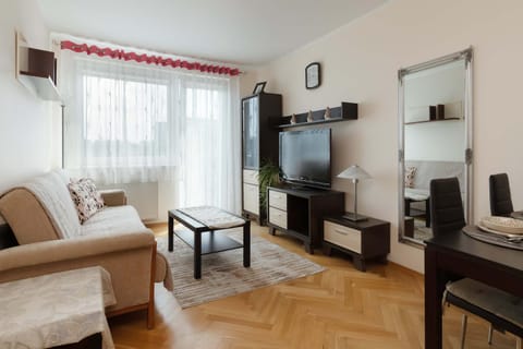 TV and multimedia, Living room, Photo of the whole room, Seating area, Evening entertainment