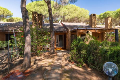 Property building, Garden view