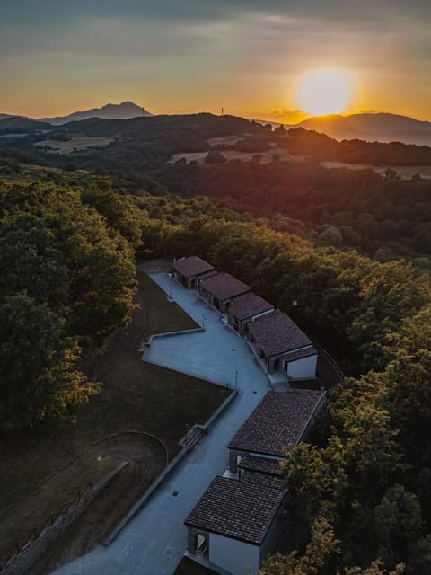 Bird's eye view, Garden, Sunset