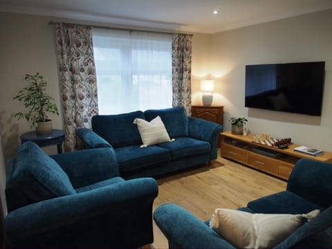 TV and multimedia, Living room, Seating area, furniture