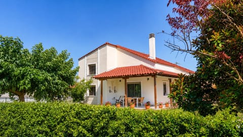 Property building, Garden view