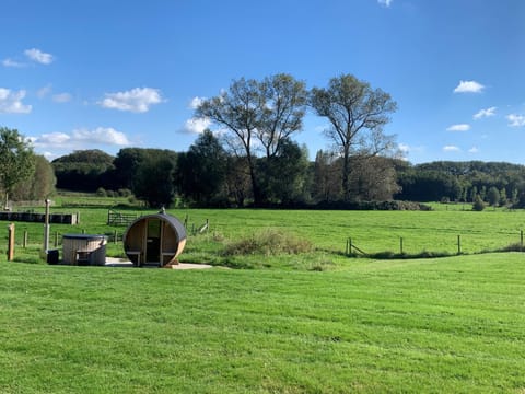 Day, Natural landscape, Garden, Garden view