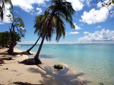 Nearby landmark, Beach