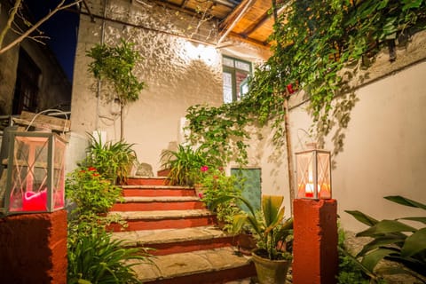 Facade/entrance, Garden