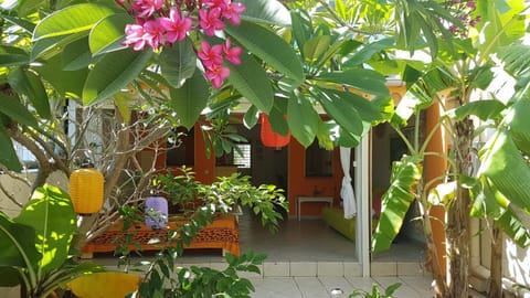 Garden view