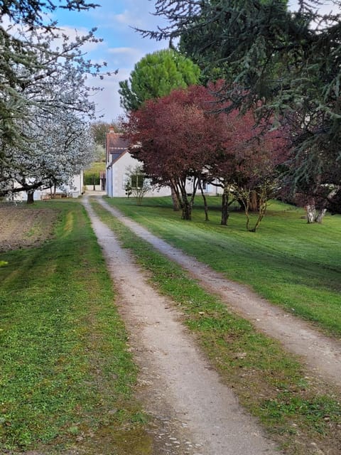 Natural landscape, Garden