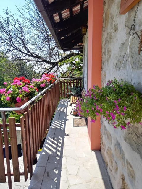 Balcony/Terrace, Balcony/Terrace