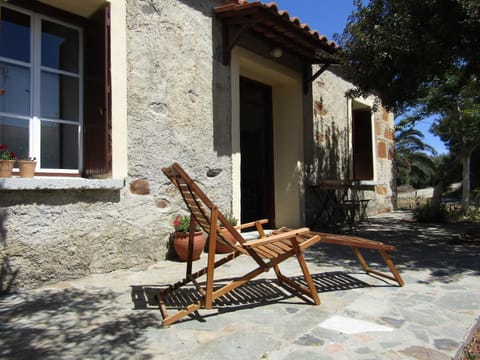Day, Garden, sunbed