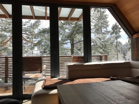 Photo of the whole room, Garden view