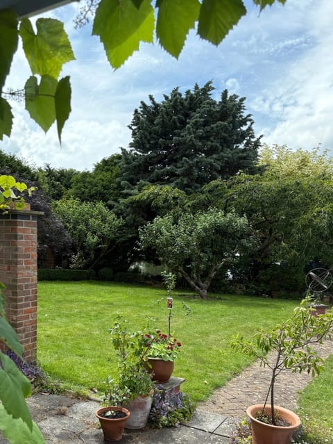 Garden, Garden view