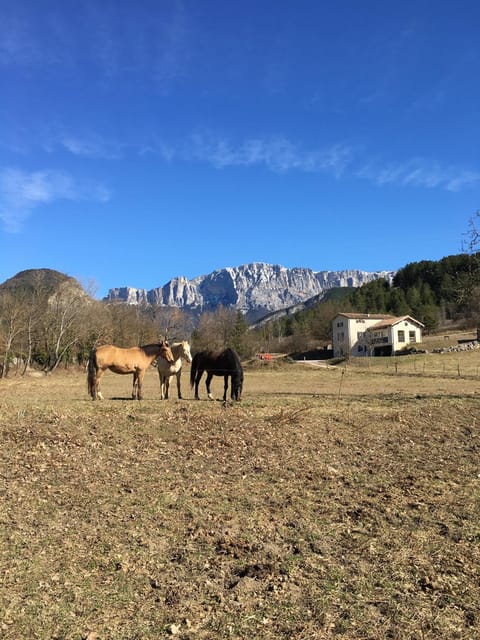 Gîte d'étape d'Aurouses House in Provence-Alpes-Côte d'Azur