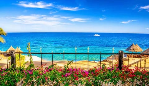 Sea view
