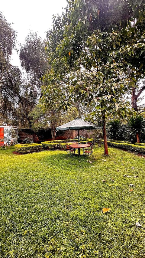 Natural landscape, Garden, Garden view