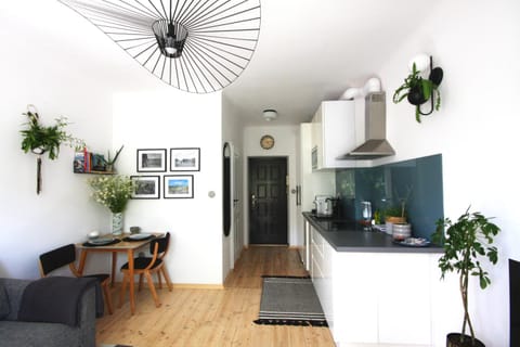 Kitchen or kitchenette, Living room, Seating area, Dining area, oven, pet friendly, storage, stove