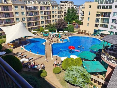 Day, Garden view, Swimming pool, sunbed