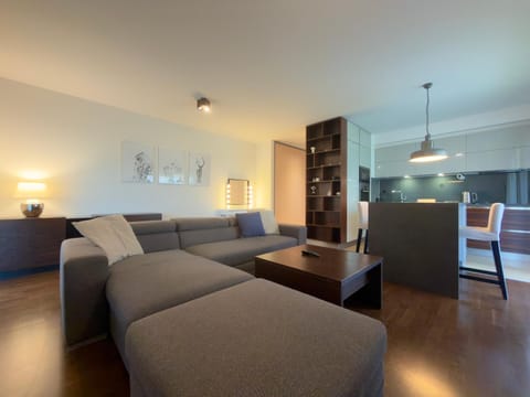 TV and multimedia, Kitchen or kitchenette, Living room, Seating area, Dining area