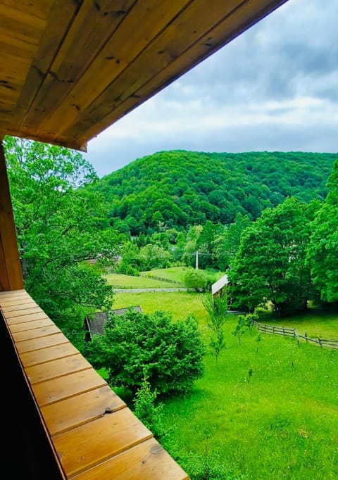 View (from property/room)