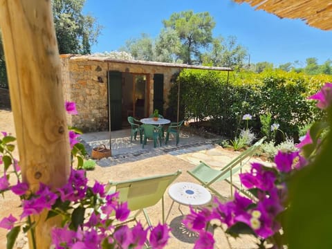 Patio, Day, Garden, Dining area, Garden view