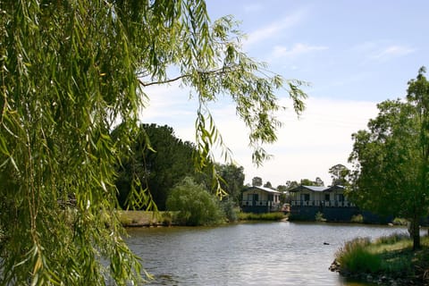 Lake view