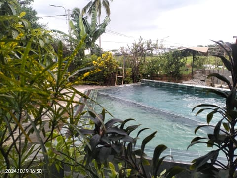 Natural landscape, Swimming pool, Swimming pool
