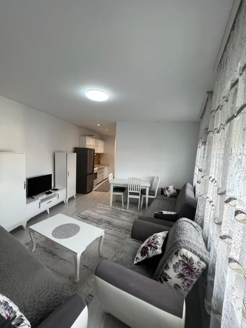 TV and multimedia, Kitchen or kitchenette, Living room, Seating area, Evening entertainment