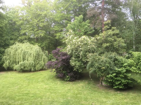 Domaine De Chantemerles House in Fontainebleau