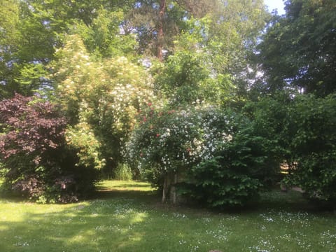 Domaine De Chantemerles House in Fontainebleau