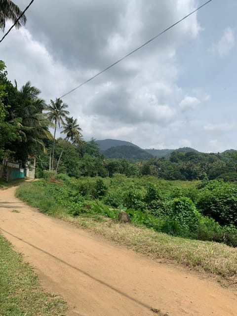 Natural landscape