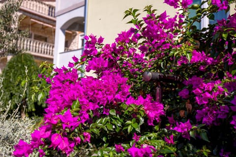 Property building, Garden view