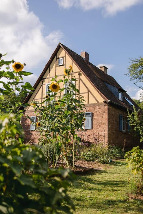 Property building, Garden