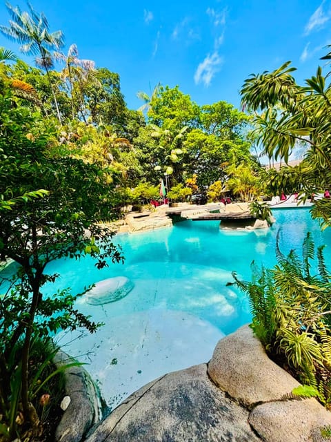 Day, Natural landscape, Pool view, River view, Swimming pool