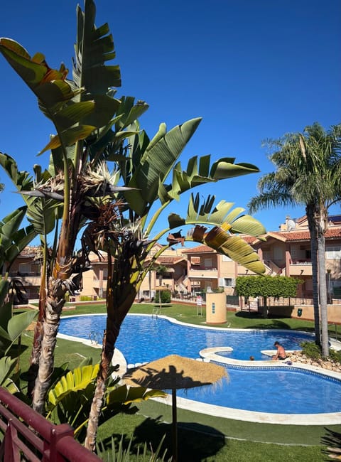 Pool view, Swimming pool