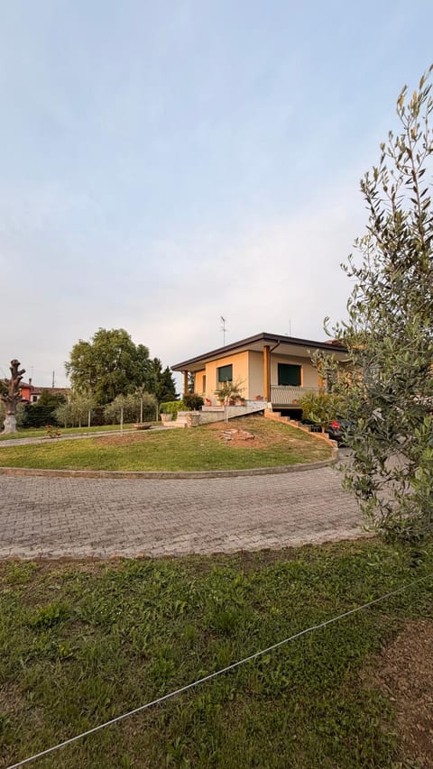 Day, Natural landscape, Garden
