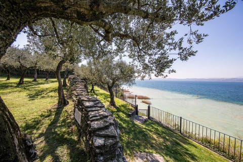 Day, Garden, Beach