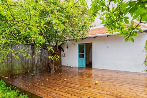 Patio, Garden