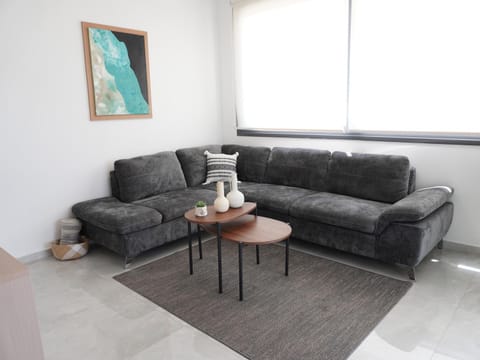 TV and multimedia, Living room, Seating area, air conditioner
