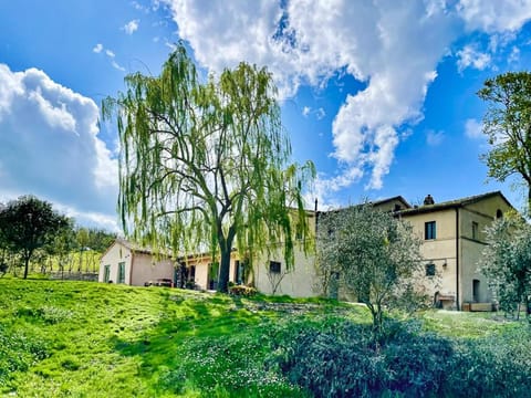 Natural landscape, Garden