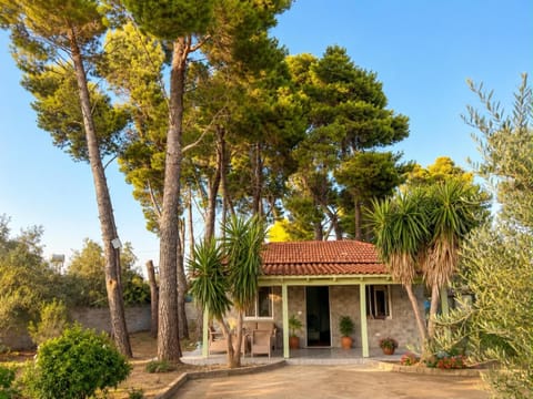 Garden, Garden view