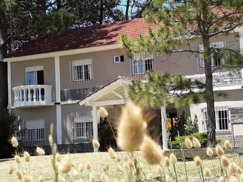 Property building, Day, Garden, Garden view