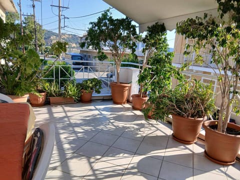 Balcony/Terrace, Balcony/Terrace