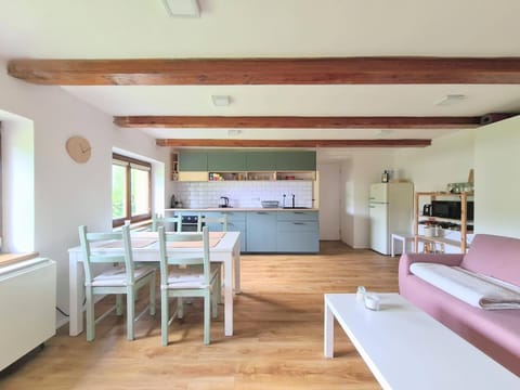 Kitchen or kitchenette, Living room, Dining area, oven, stove