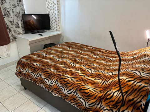 Bed, TV and multimedia, Photo of the whole room