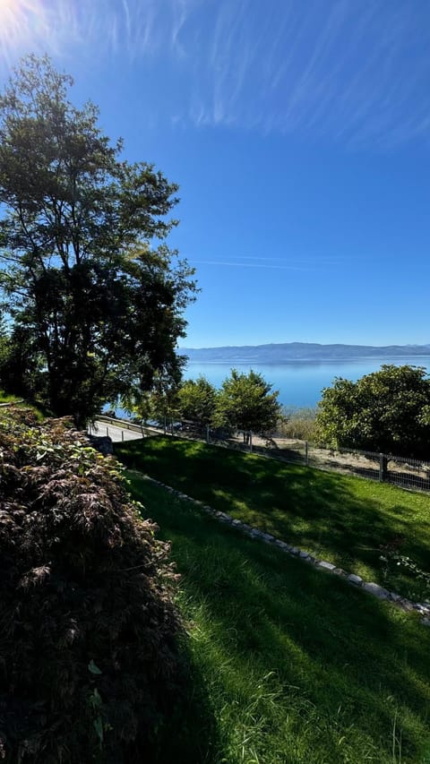 Natural landscape, Lake view