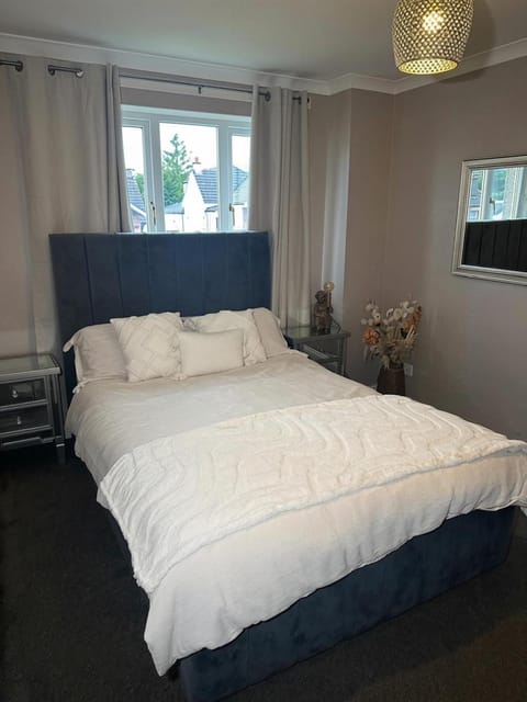 Bed, TV and multimedia