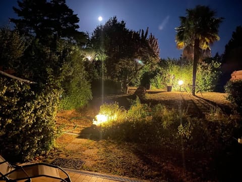 Night, Garden, Garden view