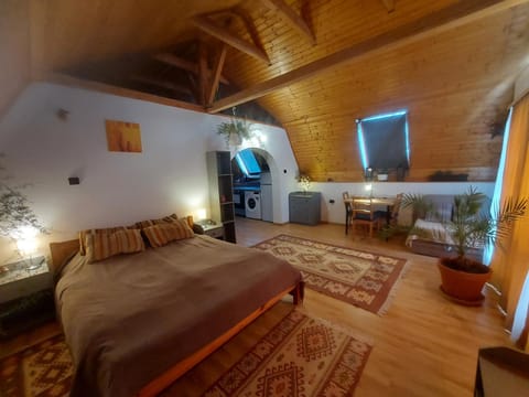 Bed, Living room, Photo of the whole room, Seating area