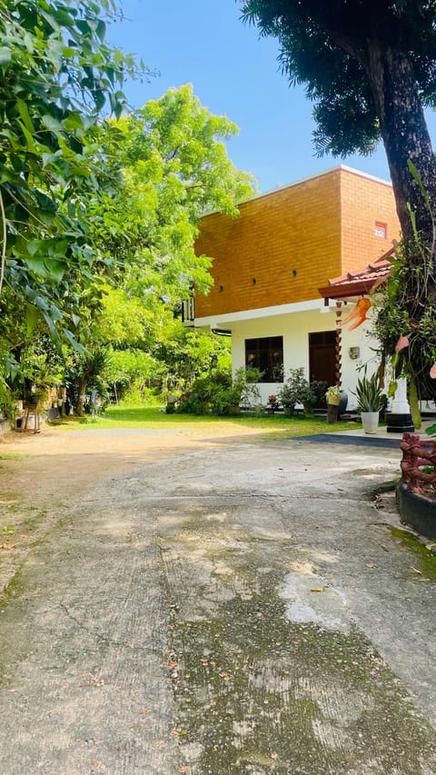 Property building, Garden, Garden view